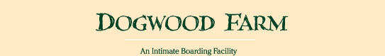 Dogwood Farm - An intimate boarding facility